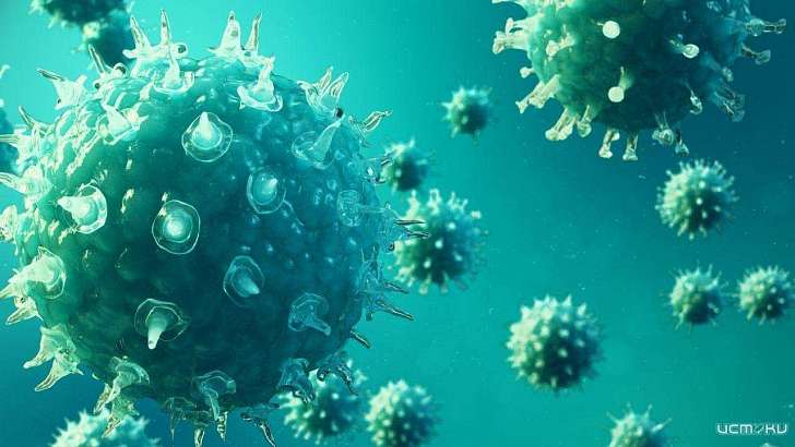 Почти 2000 орловчан заразились коронавирусом в семьях