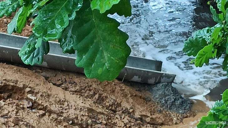 Утята в грязном пруду: народный корреспондент обратил внимание на проблемы экологии