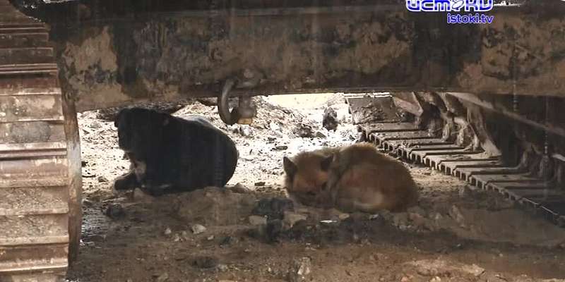 Счета школ разблокируют, ДТП с автобусами, а в прокуратуре разъяснили предпринимателям их права. Об этом и не только в следующей рубрике