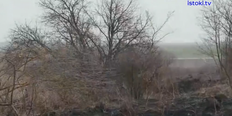 Чем опасен сухостой на землях сельхозназначения рассказали специалисты орловского и курского Россельхознадзора