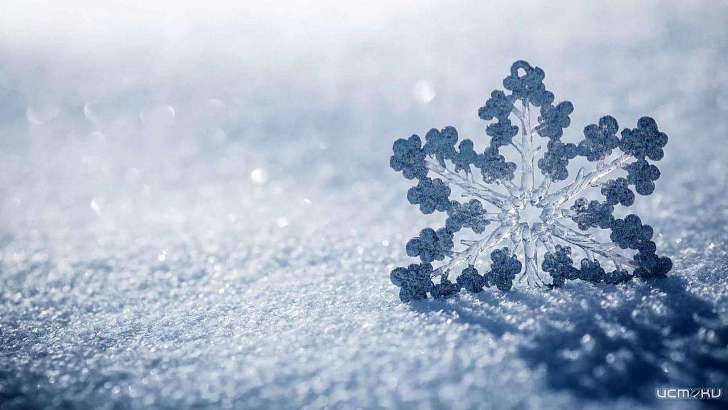 Легкий морозец и снег ждут орловчан в субботу