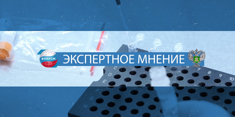 Как БПЛА могут приносить пользу, несанкционированные картеры в Орловской области