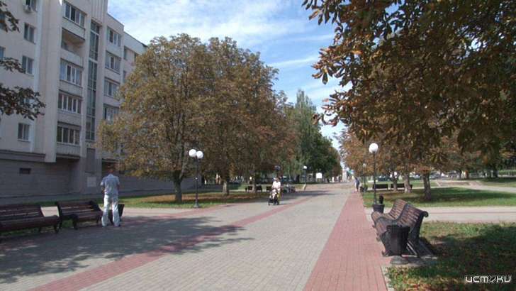 Лечение каштанов и покос травы: на озеленение Орла потратят более 20 млн 