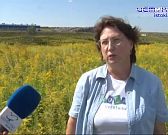 Рукотворная экологическая катастрофа