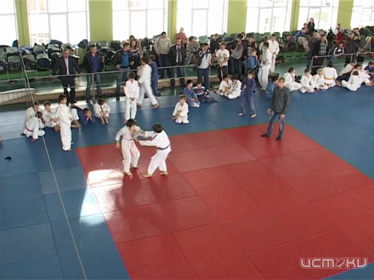 Девять юных дзюдоистов вошли в сборную области 