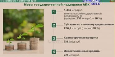 Им про Фому, а они про Ерему