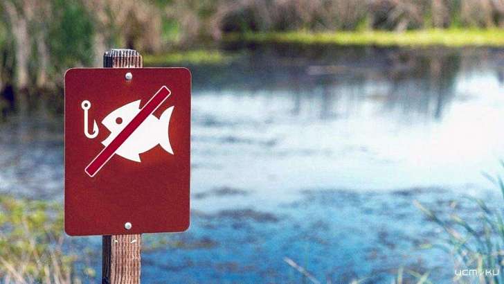 Орловчанам запретили ловить раков и рыбу на зимовке