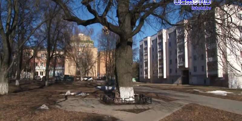 На бульваре Победы в Орле от монтажной пены страдает дуб-долгожитель, которому уже 161 год. Какие последствия ожидают бедное дерево и долго ли оно еще...
