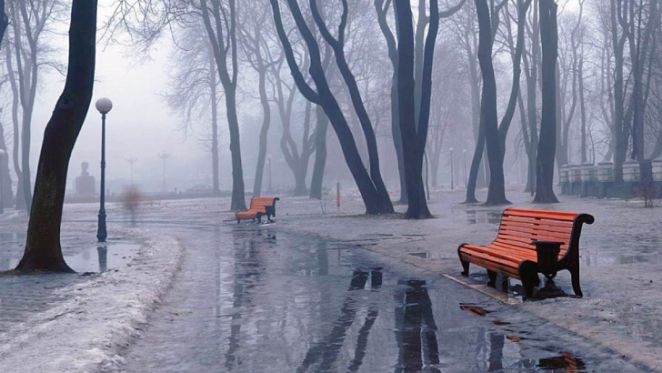 Среда в Орле будет пасмурной