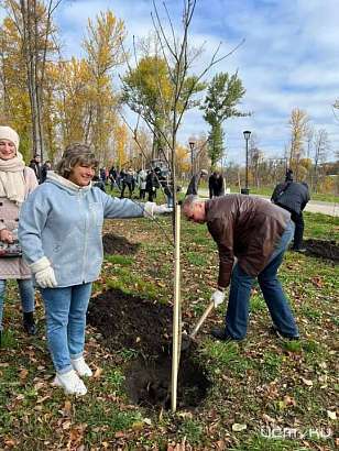 В Орле «Парк Победы» пополнили еще 25 рябин