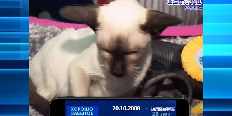 Хорошо забытое старое 20.10.2024