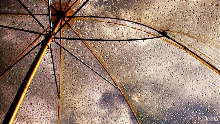 Сегодня понадобится зонт: погода в Орле на 26 августа