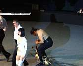 "Созвездие цирков". В Орел приехали лучшие цирковые артисты со всей страны