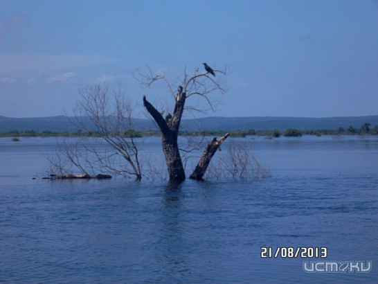 25 дней из жизни орловских спасателей 