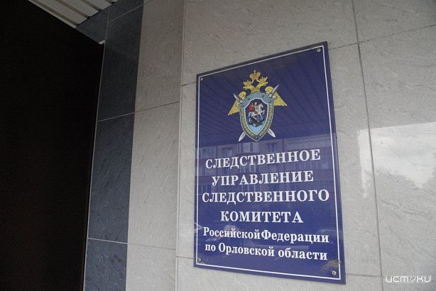 В Орле мужчина получил 2,5 года колонии за призывы к терроризму в сети