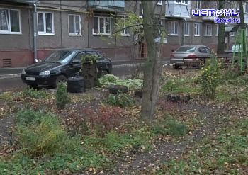 УК листву не убирает