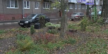 УК листву не убирает