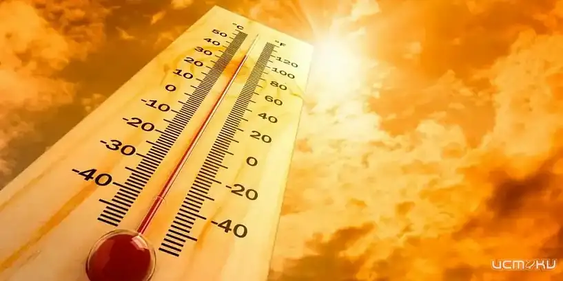 Орловчанам напомнили правила безопасности в жаркую погоду