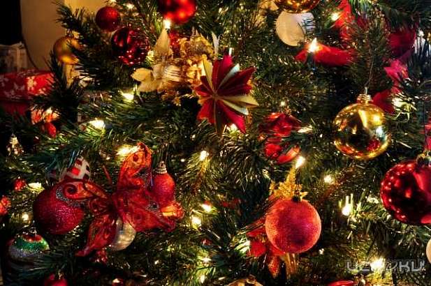 Достаточно ли был украшен Орел к Новому году? Мнение жителей