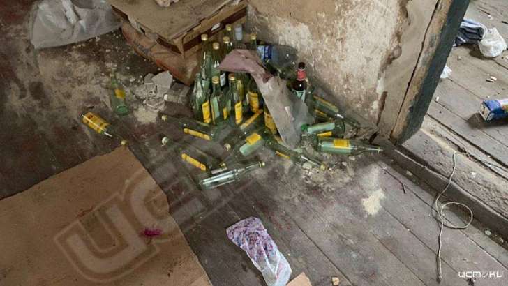 История девочки-маугли и убийство пенсионерки взбудоражили орловчан