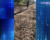 Губернатор передумал подключать обещанный вай-фай в школах