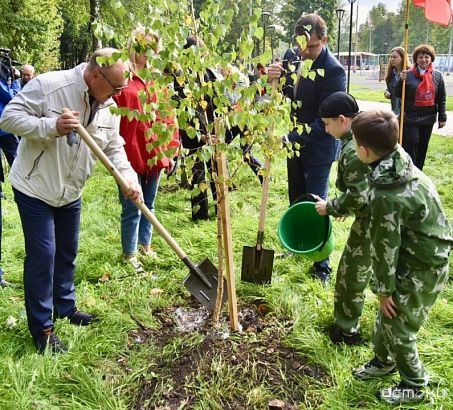 В орловском парке Победы высадили клены и березы