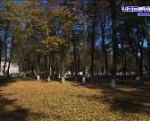 Долго ли еще орловчанам наслаждаться теплой погодой?