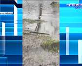 Столичная фирма займётся строительством студенческого кампуса в городе, в Орле создадут архив писем участников СВО и членов их семей, а центр занятост...