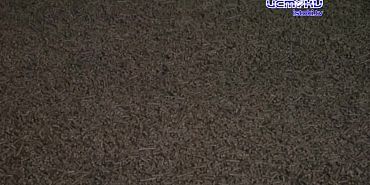 Экспертное мнение 11.12.2024