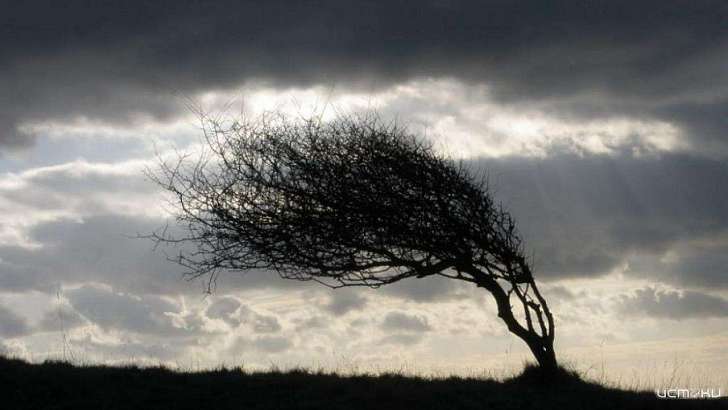 Орловчан вновь предупреждают об усилении ветра до 18 м/с Орловчан вновь предупреждают об усилении ветра до 18 м/с