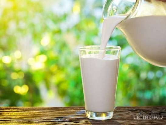 Роспотребнадзор проверил орловское молоко: где нашли нарушения 