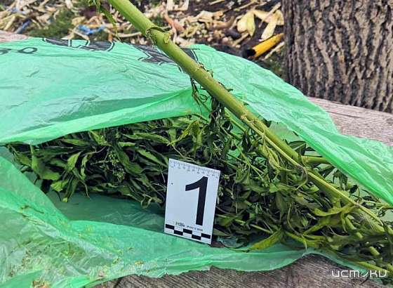 В Кромском районе при обыске в доме 18-летнего парня нашли наркотики в крупном размере