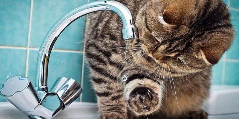 На четыре дня раньше срока орловчанам возвращают горячую воду