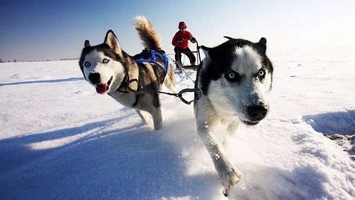 Последний рабочий день в Орле будет морозным и снежным