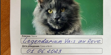 Россельхознадзор выдает сертификаты на вывоз за рубеж домашних животных.