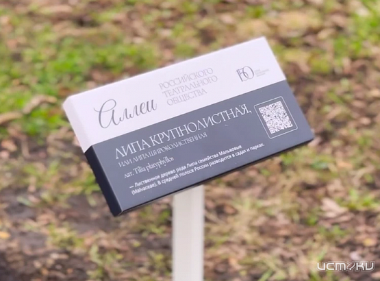 В Орле заложили Театральную аллею