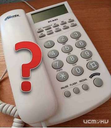 Роспотребнадзор проведёт «горячую линию»