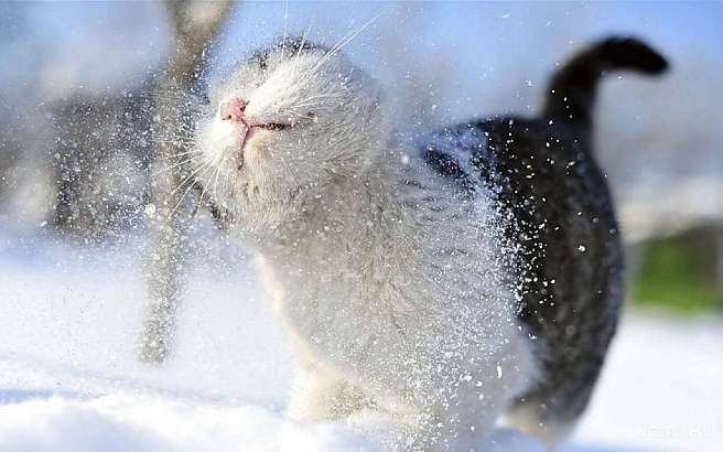 Первый мартовский день не порадует орловчан весенней погодой