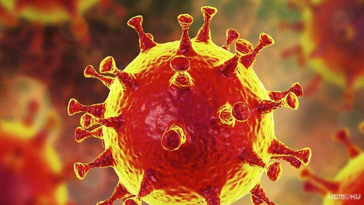 На Орловщине число заболевших коронавирусом достигло 85