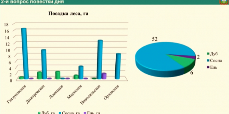 В прошлом году на Орловщине в основном сажали сосны