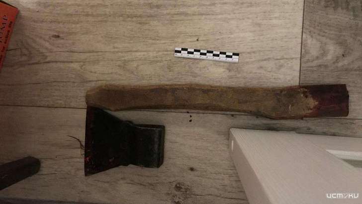 17-летний орловчанин напал на мать и бабушку с топором и гвоздодером