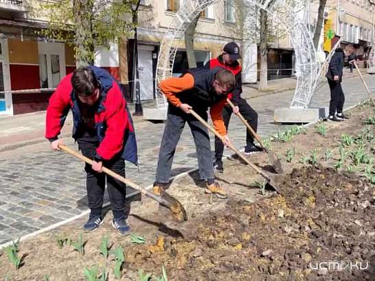 В Орле в районе улицы Ленина началась посадка цветов