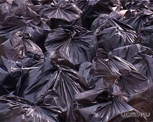 В прошедшую субботу орловчане убирали парк микрорайона Ботаника