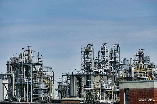 Орловская госинспекция признала работодателей виновными в гибели работника