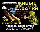 Орловчане могут посетить интерактивную экспозицию живых тропических бабочек и хищных растений