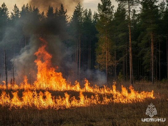 Прошедшие сутки для орловских спасателей: от тушения травы до помощи медикам