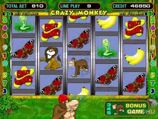 Бывший помощник прокурора Новосильского района «крышевал» игорный бизнес