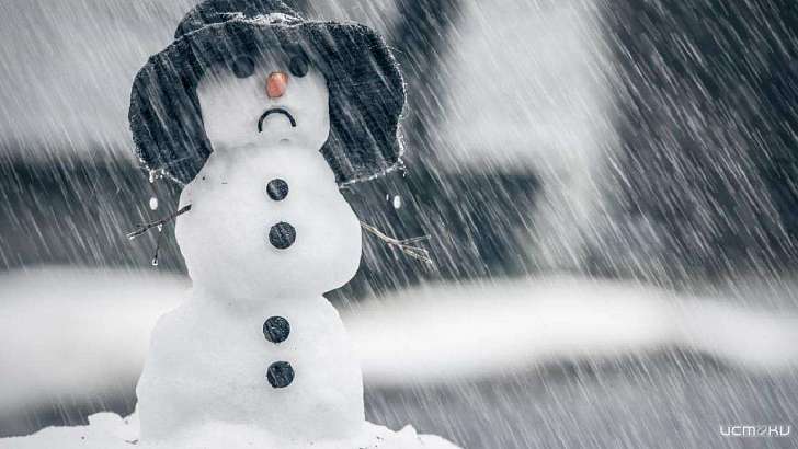 Дождь со снегом и нулевая температура ждут орловчан сегодня