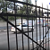 "Решетка в стиле классицизм". Что сейчас происходит со спиленным забором орловского городского парка?