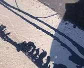 Нанотехнологии при латании Васильевской